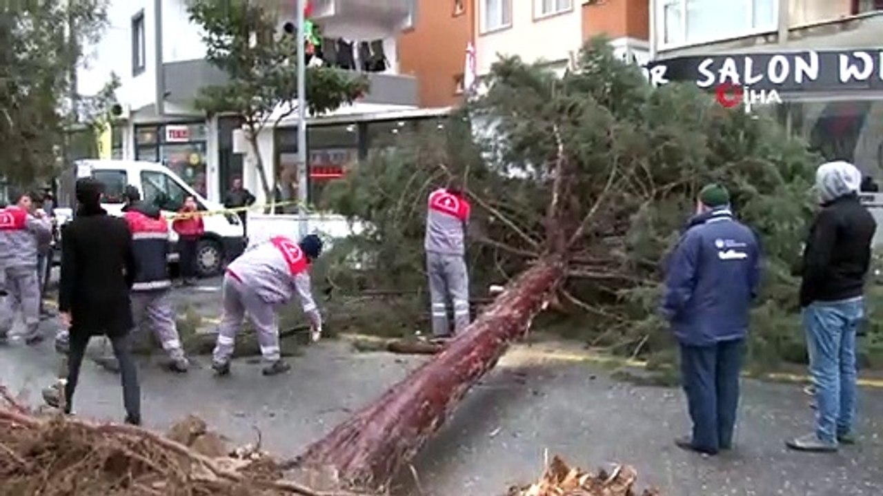 İstanbul’da şiddetli fırtına ağaçları devirdi