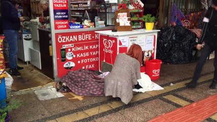 Yağmur ve soğuktan etkilenen üç köpeği battaniyeyle ısıttılar - MERSİN