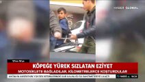 Köpeğe yürek sızlatan eziyet