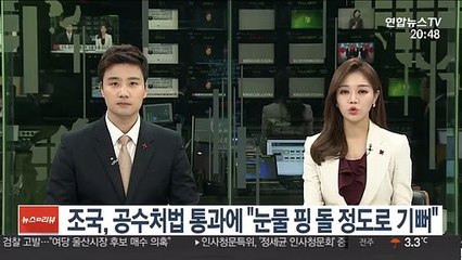 조국, 공수처법 통과에 "눈물 핑 돌 정도로 기뻐"