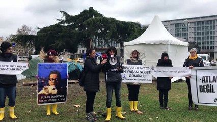 'Büyükada'ya en az 30'dan fazla veterinere ihtiyaç var' - İSTANBUL