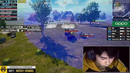 pec 2019 ||'XQF_Paraboy_Domination_13_kill_chicken_Dinner_