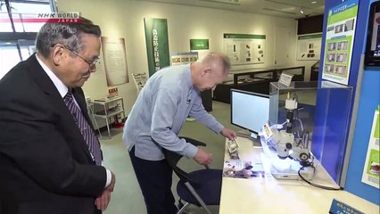 Japanology Plus - Banknotes