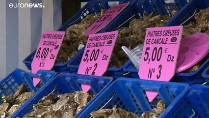 Austern: Weltkulturerbe muss zu Silvester auf den Tisch