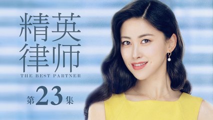 精英律師 23 | The Best Partner 23（靳東、藍盈瑩、孫淳等主演）