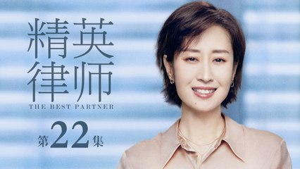 精英律師 22 | The Best Partner 22（靳東、藍盈瑩、孫淳等主演）