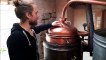 Hilbesheim : la distillation de la mirabelle est lancée