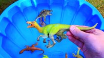 Dinosaurs for kids, Learning Names, Carnivore Herbivore Dinosaurs T