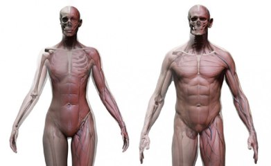 Esta nueva tecnología permite escanear todo el cuerpo humano de una sola vez