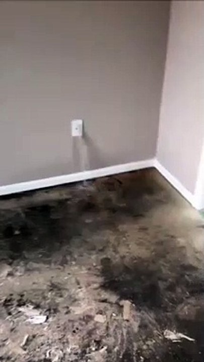 Si vous voyez de l'eau sortir de votre prise électrique ce n'est jamais bon signe