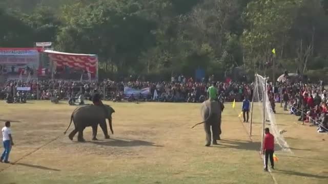 Nepal celebra su tradicional 'Festival del Elefante de Chitwan'