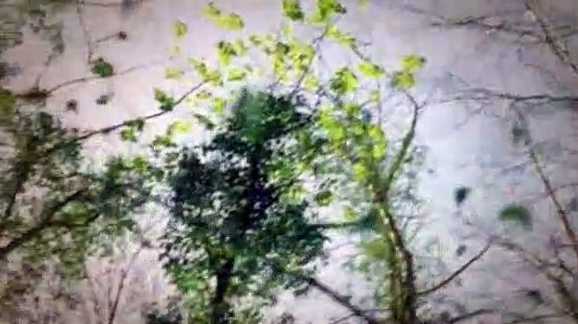 Merlin S05E03 The Death Song Of Uther Pendragon