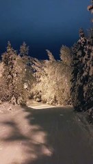 Night Skiing in Anchorage