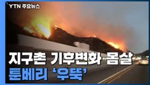 2019 지구촌 기후변화 몸살...환경 소녀 툰베리 '우뚝' / YTN