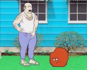 AQUA TEEN HUNGER FORCE VOLUME 3