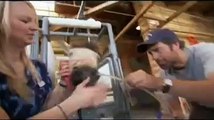 Dirty Jobs Trailer