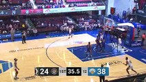 Nick Ward (17 points) Highlights vs. Westchester Knicks