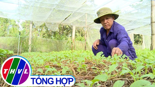 Nông nghiệp bền vững: Hợp tác sản xuất rau hữu cơ bền vững