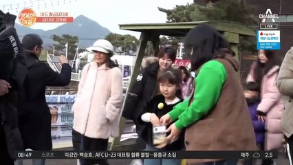 2019년 아듀 황금돼지해! 돼지의 모든 것을 체험할 수 있는 이곳은?