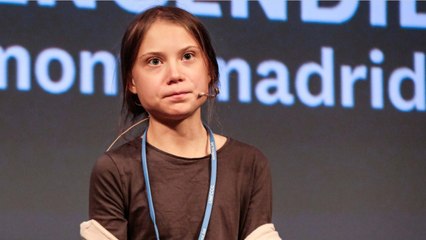 David Attenborough Praises Greta Thunberg Over Skype