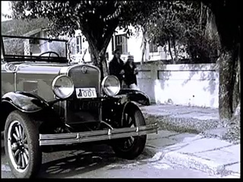 CINZAS DA HISTÓRIA