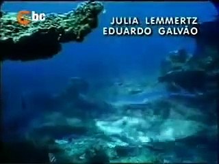 Abertura de Porto dos Milagres