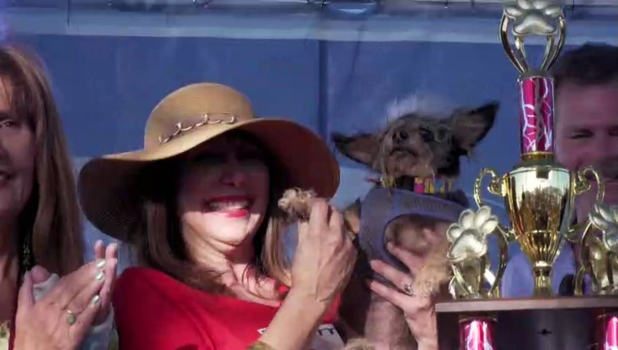 Der tierische Jahresrückblick 2019