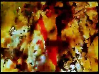 Stan Brakhage 2001   Love Song
