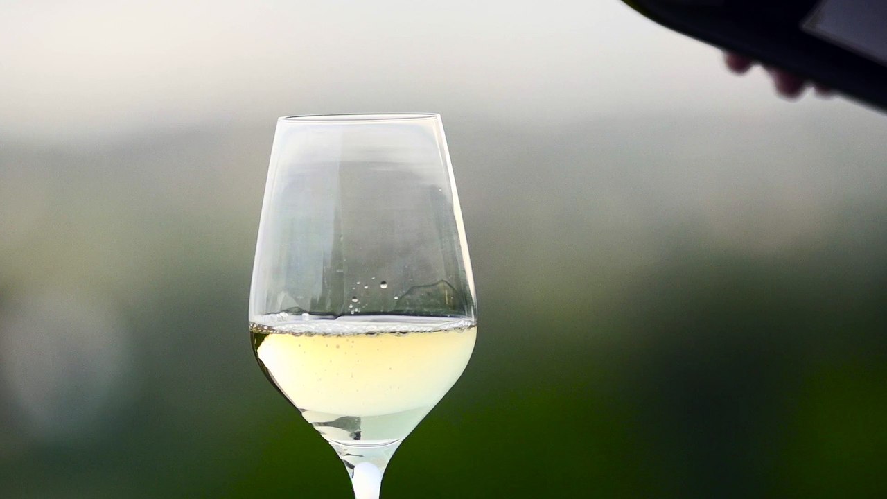 TKN_Intro_wineglass1
