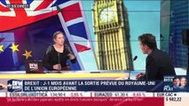 Sébastien Maillard (Institut Jacques-Delors) : Brexit, J-1 mois avant la sortie prévue du Royaume-Uni de l'UE - 31/12