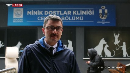 Minik dostlar için ilk yardım önerileri