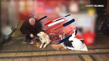 Hem sokak hayvanlarını hem de kalpleri ısıttılar