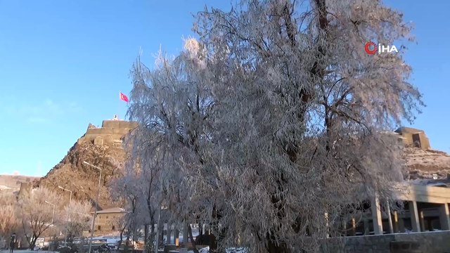Kars eksi 12’yi gördü, ağaçlardaki kırağı görsel şölen oluşturdu