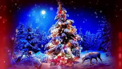 Yeni yılınız kutlu olsun...