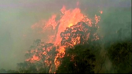 Australia fire kills firefighter, 100,000 residents urged to flee