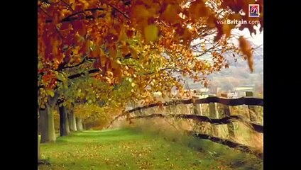 Maulana Tariq Jameel  nice words By ISLAMIC VIDEO's