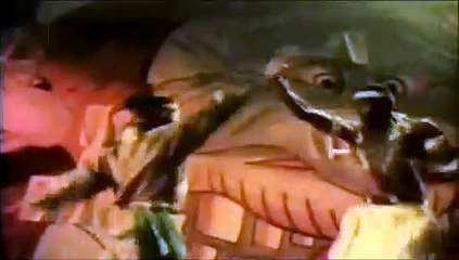 Shaolin Dolemite - First Fight Scene