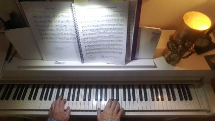 7 - Provence et Paris se Rejoignent! (176 à la noire) 20191231_112622