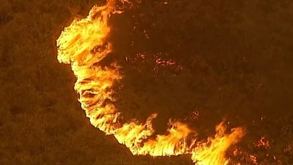 '산불 확산' 호주 남동부서 4천여 명 해안가 고립 / YTN