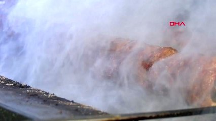 Adana yılbaşında hindi yerine boru ve açma kebabına yoğun talep