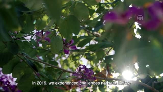 Hong Kong liderinden kenti yeniden inşa edelim çağrısı - HONG