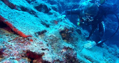 Antalya'daki gemi batığında heyecanlandıran buluş