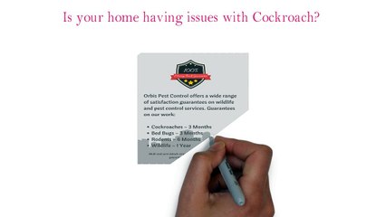 Orbis Pest Control
