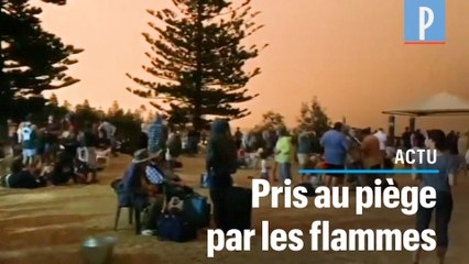 Incendies en Australie : des milliers de personnes piégées sur des plages