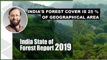 India's forest cover is 25of geographical area, jumps by 5,188 sq.km: Javadekar