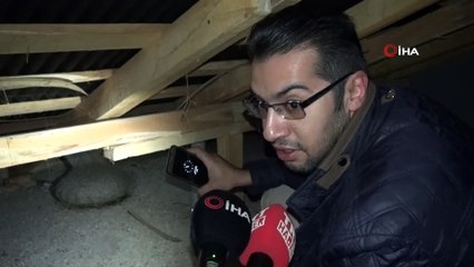 Yaban arılarının çatı katına yaptığı yuva görenleri şaşırttı