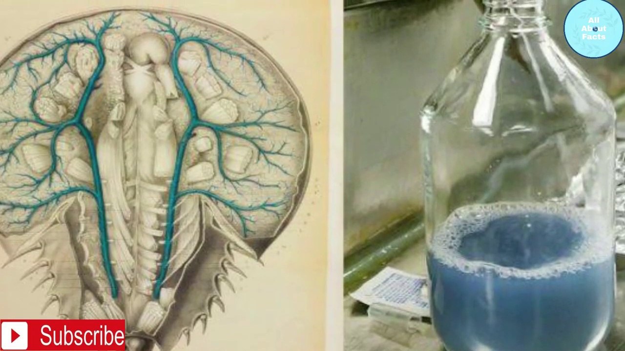 दुनिया_के_10__सबसे_महंगे_Liquids_Top_10_most_Expensive_Liquids_in_the_World_in_H