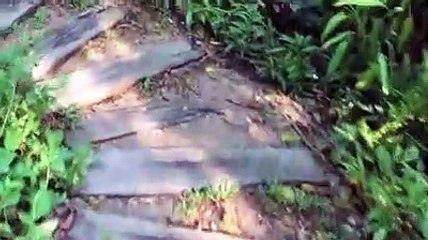 Live It Up At Luxury Private Pool Villas in Langkawi