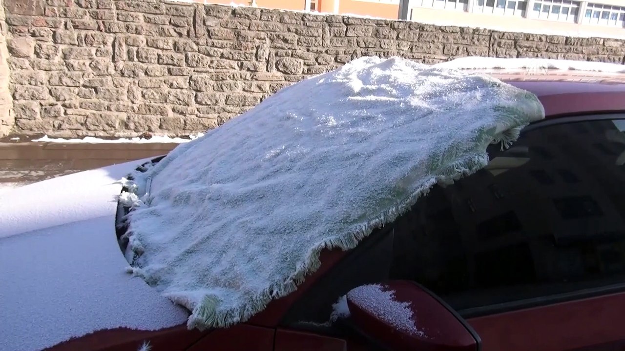 Kars'ta ağaçlar ve bitkiler kırağı tuttu - KARS