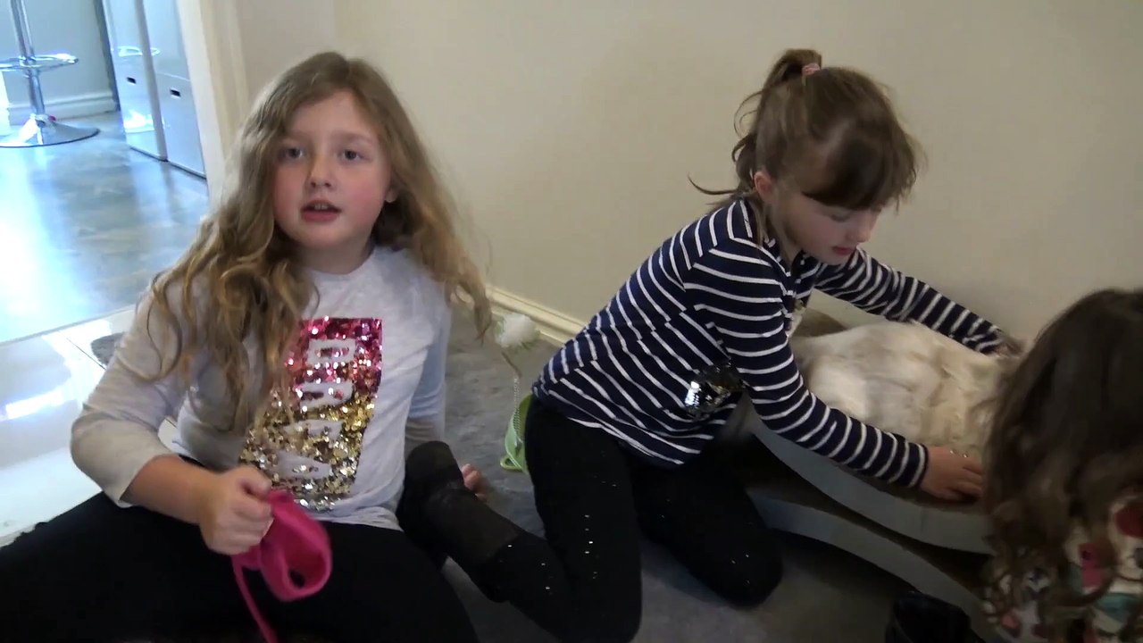 Sophia, Isabella e  Alice  Brincando com Gatinho no Quintal